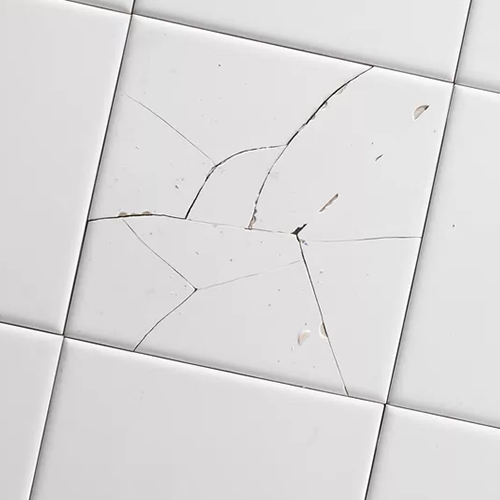 Tile Replacement <br> & Repair
